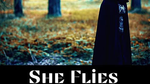 She Flies / Bryan Edwards