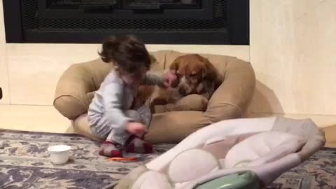 Little Girl Shares Cereal With Her Puppy