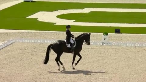 Isabell werth wins historic 14th olympic equestrian medal paris olympics nbc sports