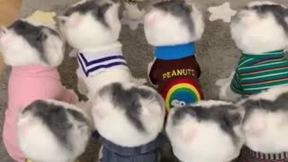 Cat and his army