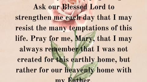 Assumption Novena Day 8 // #AveMaria #CatholicLife #Christian #LiturgicalLiving #Novena #Prayer