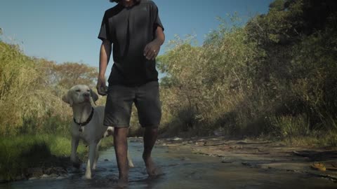 Person and dog walk in a creek