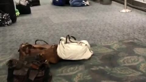 Multiple People Killed During Shooting at Fort Lauderdale Airport on January 6, 2017