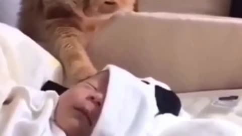 CAT MAKES BABY SLEEP - FUNNY CATS AND CUTE #SHORTS