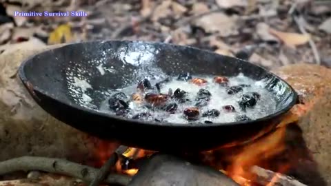 Primitive Technology | Insects finding, catching and cooking. Survival methods