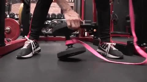 [The BEST Dumbbell Exercises for BICEPS]dog_leash_dumbbell_trick_weighted_chinups