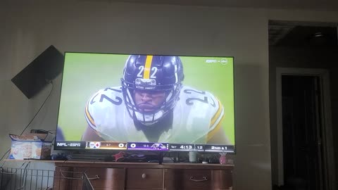 The steelers game snippet