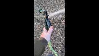 Why you should drain your garden hose over winter!