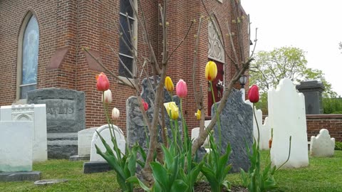 What Became of the United Methodists - Pastors Round Table 1.25.2024