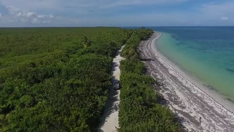 Hidden forest Island Drone Aerial View Free stock footage Free HD Videos