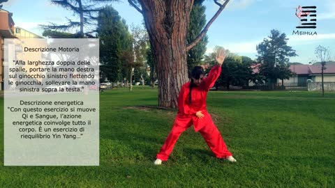 Qi Gong. I diciotto esercizi taoisti della salute