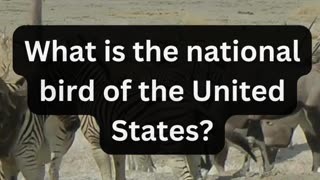 What is the national bird of the United States?