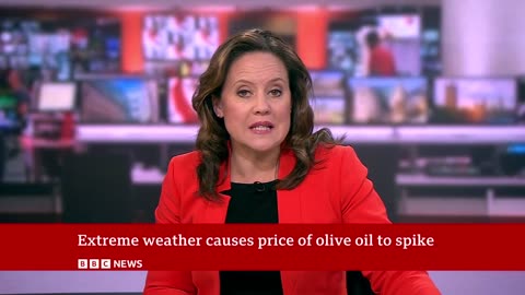 Olive oil price skyrockets as Spain suffers summer droughts for second year | BBC News
