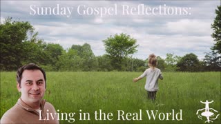 Living in the Real World: 14th Sunday in Ordinary Time