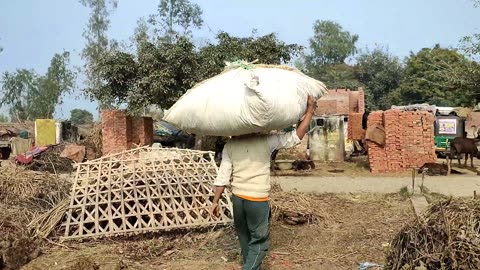 Rural Life In India UP {} Village Life Of India {} Village Farmer In India Life Style