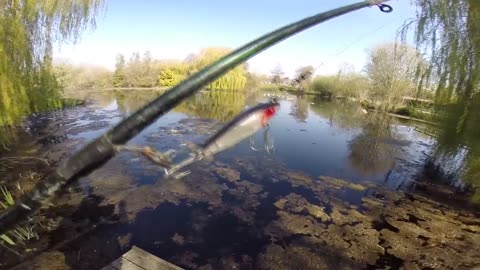 Pike fishing in Weedy Lakes-7