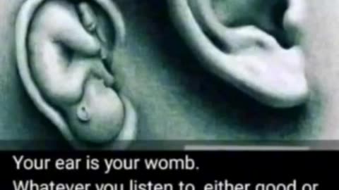 ATTENTION 💁🏻YOUR EAR IS YOUR WOMB