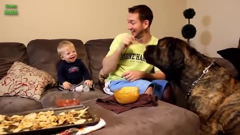 Funny babies laughing hysterically at dogs compilatio