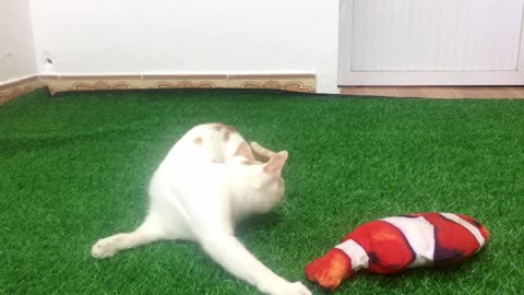 My Cats Vs Fish toy