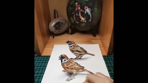 3D drawing birds, creative drawing,catch this bird