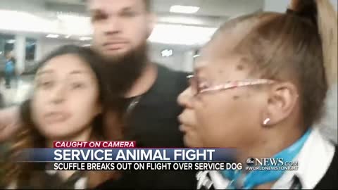 2 families outraged after incident with service dog on flight