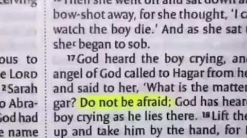 Don't be afraid