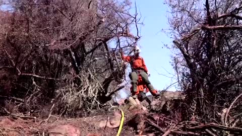 Alisal fire burns near Santa Barbara, California