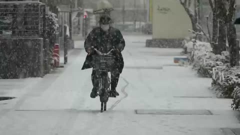 Un fuerte temporal de nieve mantiene a Tokio y los alrededores en alerta