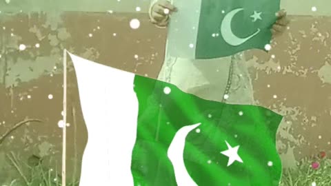 Celebrate Pakistan independence day