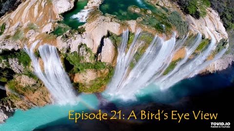 Episode 21: A Bird's Eye View
