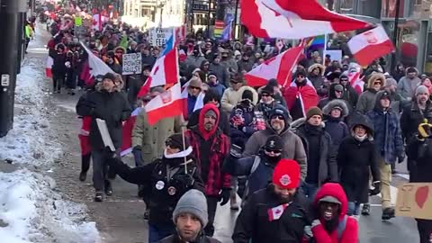 A large number of Freedom protestors march through Toronto