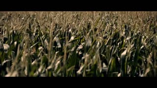New Movie 2023-Tittle- Children of the Corn HD TRAILER
