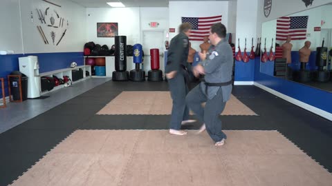 An example of the American Kenpo technique Prance of the Tiger