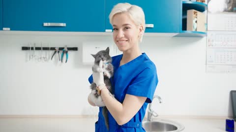 Latin woman veterinarian doctor poses with kitten in hands happy looking at camera. Animal clinic