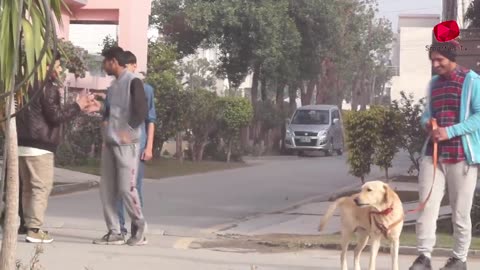 Real Dog Bark Prank @Smarties PrankTV