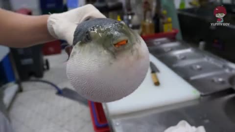 Puffer fish eating carrots