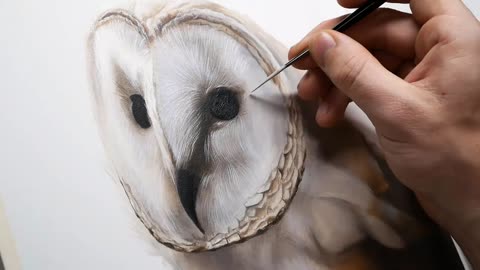 OIL PAINTING Time-Lapse | Barn Owl Portrait | Owl Portrait | Creative Fine Art