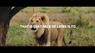 LION MENTALITY (Powerful Motivational Speech)