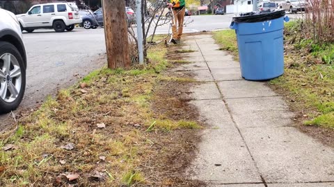 City Took NO ACTION To Cleanup This OVERGROWN Sidewalk So I Did