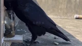 The way this CROW understands water displacement