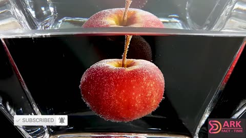 What if you left an apple in water for 200 days