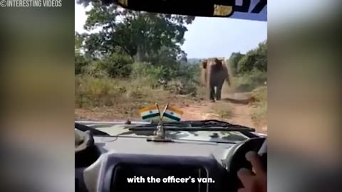 30 Times Police Officers Messed With The Wrong Animals