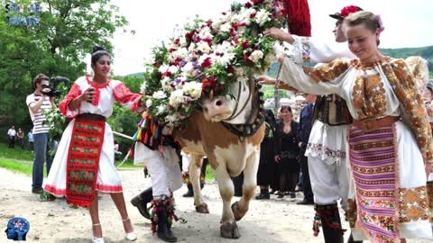 Ce tradiții ciudate există în România ?