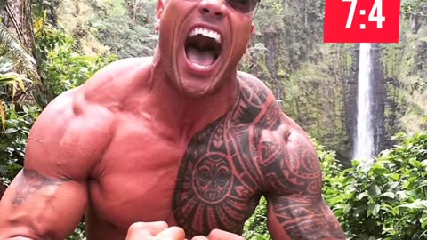 The rock vs fly