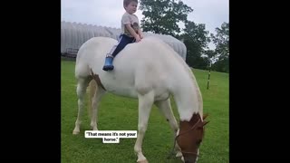 little boy and his horse 🐴