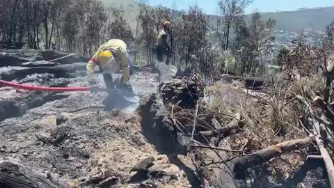 Vegetation fire on slopes of Table Mountain extinguished