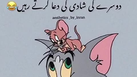 Tom and Jerry funny video must watch