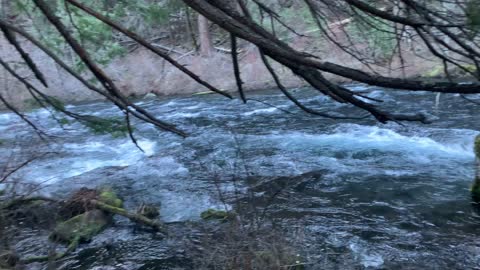 Recommend Doing Late Winter or Early Spring – Metolius River – Central Oregon – 4K