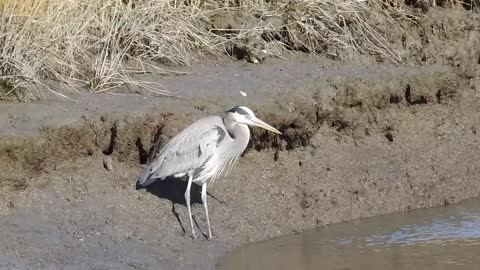 National Wildlife Refuge