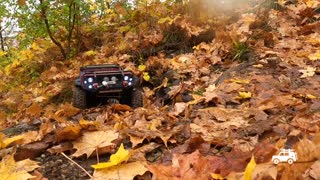 ⚠️RC CAR EXPEDITION⚠️ KRCSKY LES #9 - TRX4, defender_r roots&leafs